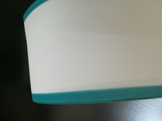 मैकेनिकल डिवाटरिंग के लिए सर्पिल मोनोफिलामेंट पॉलिएस्टर मेष बेल्ट